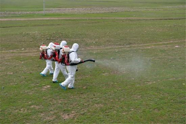 珠海民眾殺蟲滅鼠在田地噴灑藥劑